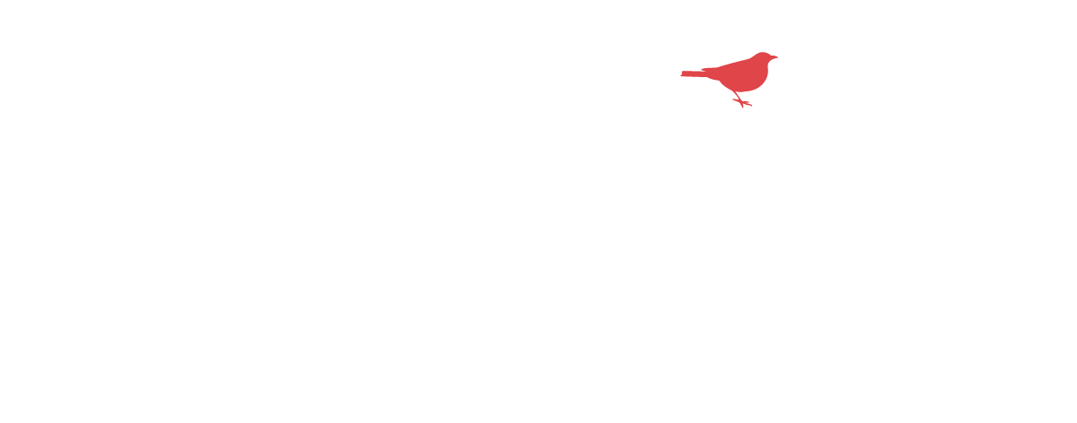Shelter Homes Seattle